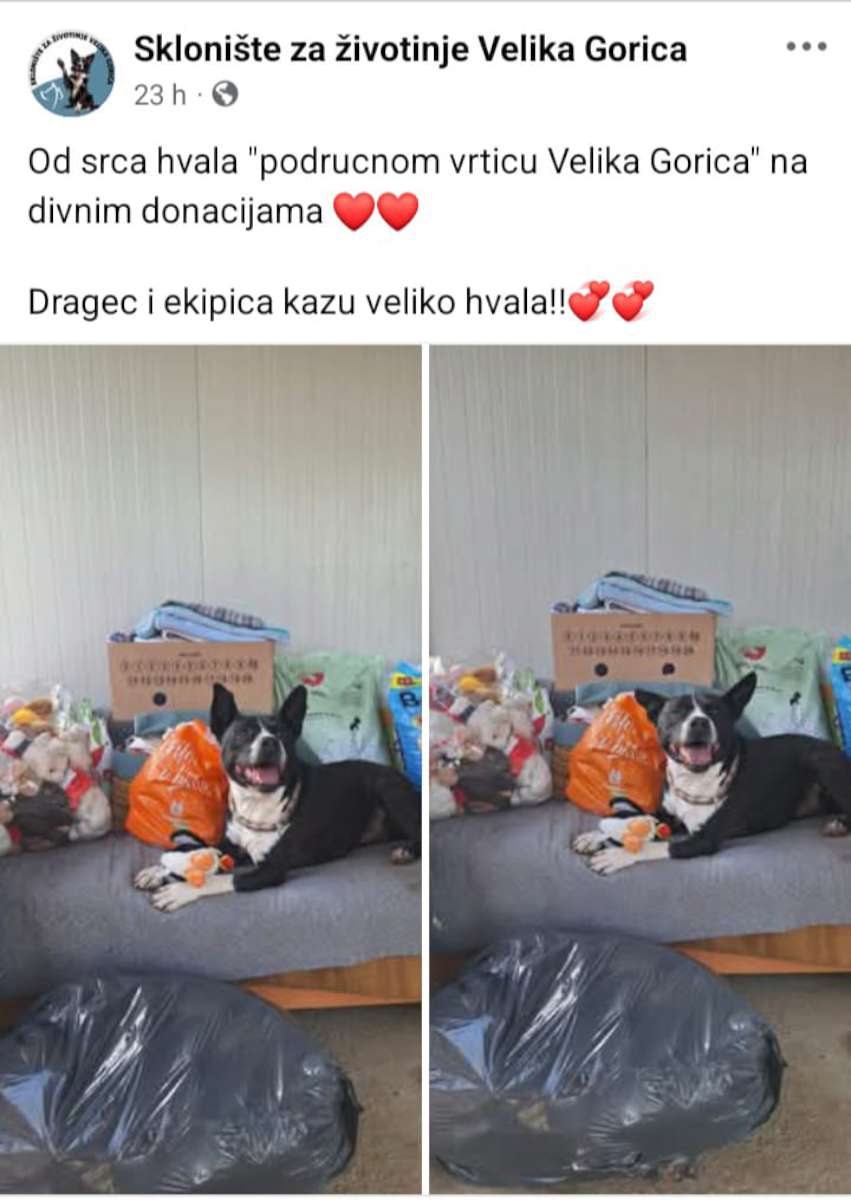 DJECA, RODITELJI I ZAPOSLENICI VELIKOG SRCA: <br>
DONACIJA SKLONIŠTU ZA ŽIVOTINJE VELIKA GORICA